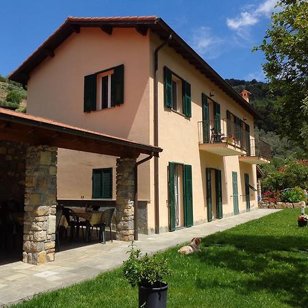 Agriturismo Turlin Vallebona Exteriér fotografie