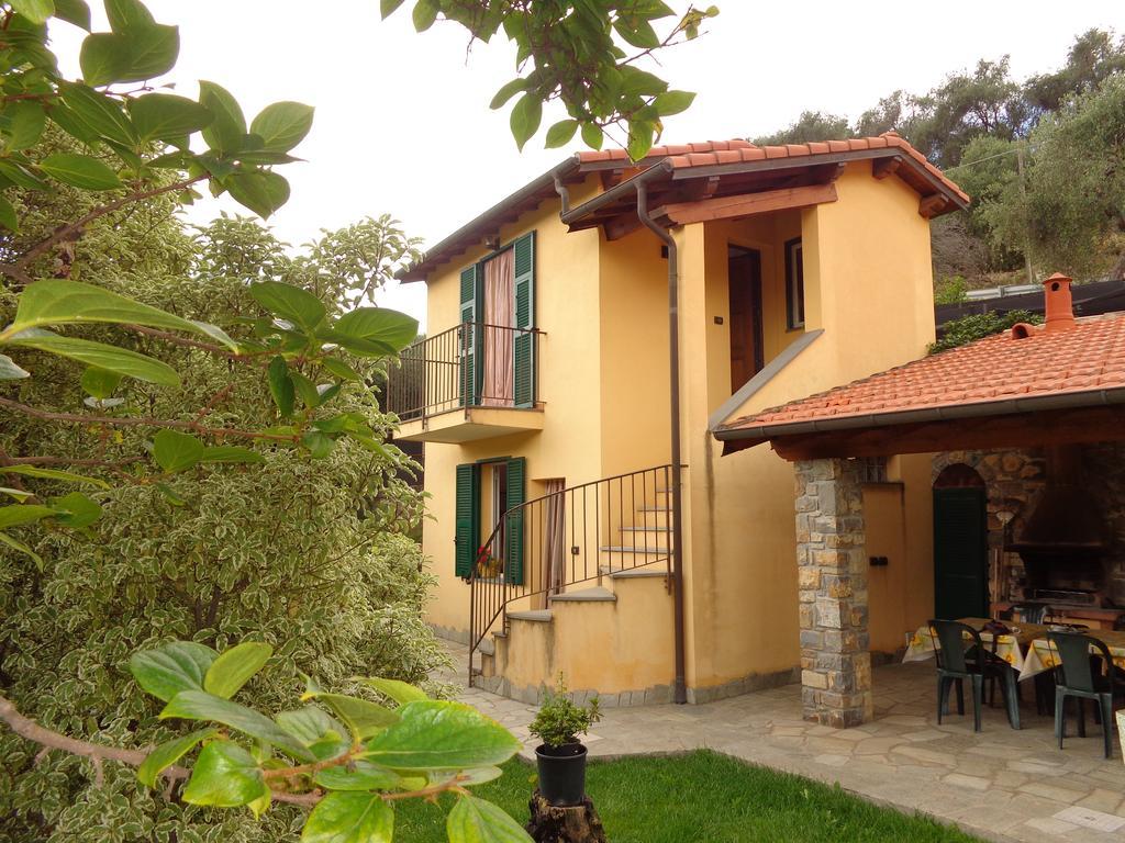 Agriturismo Turlin Vallebona Exteriér fotografie