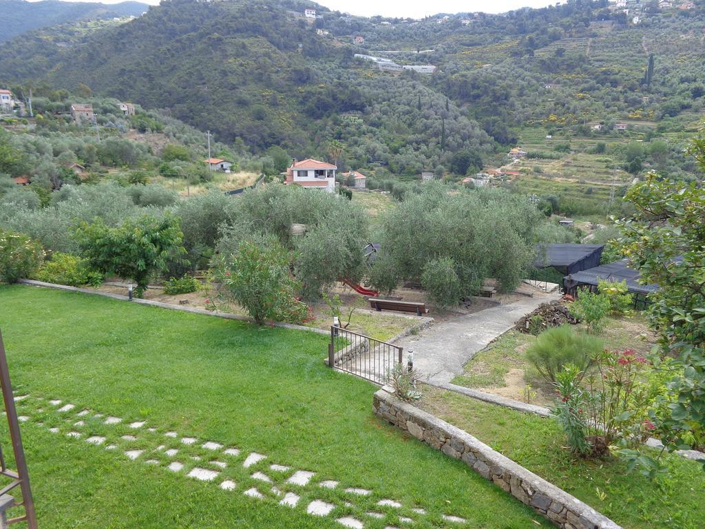 Agriturismo Turlin Vallebona Exteriér fotografie