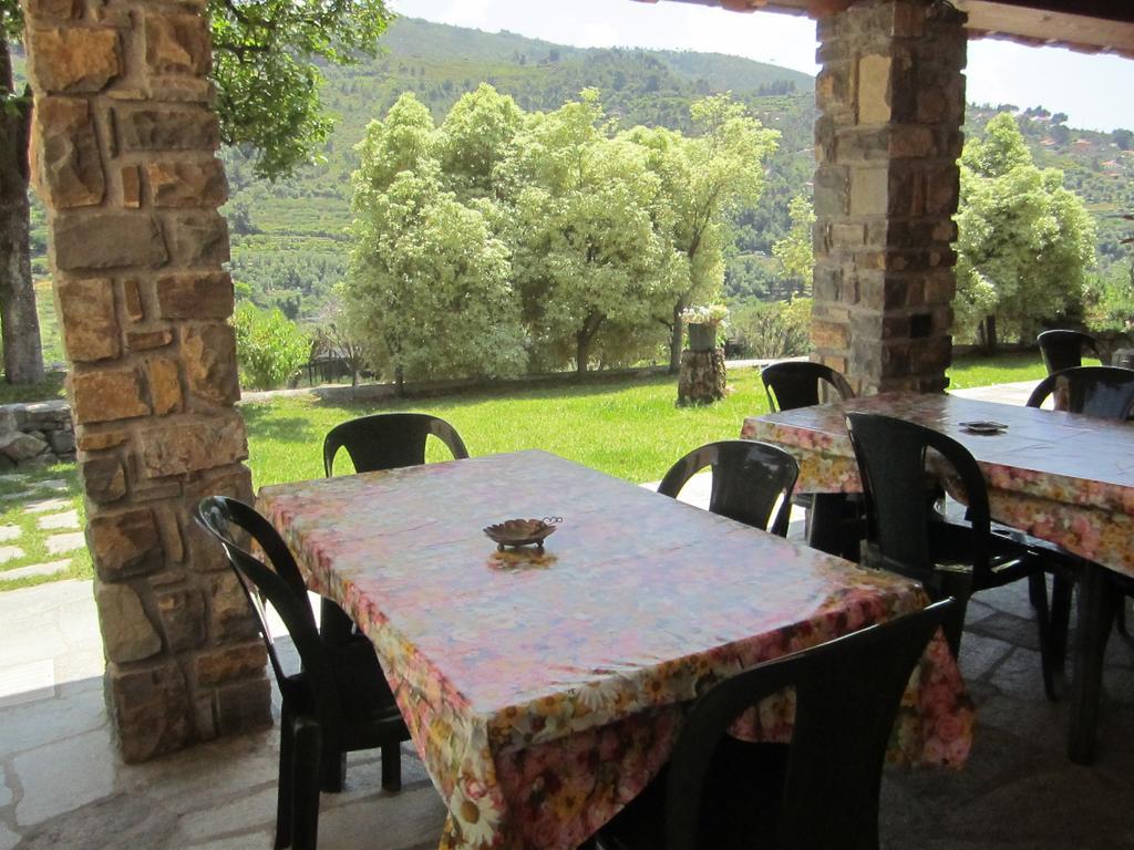 Agriturismo Turlin Vallebona Exteriér fotografie