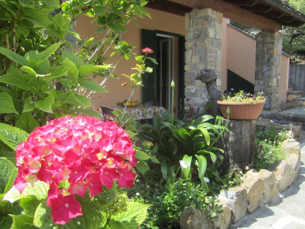 Agriturismo Turlin Vallebona Exteriér fotografie